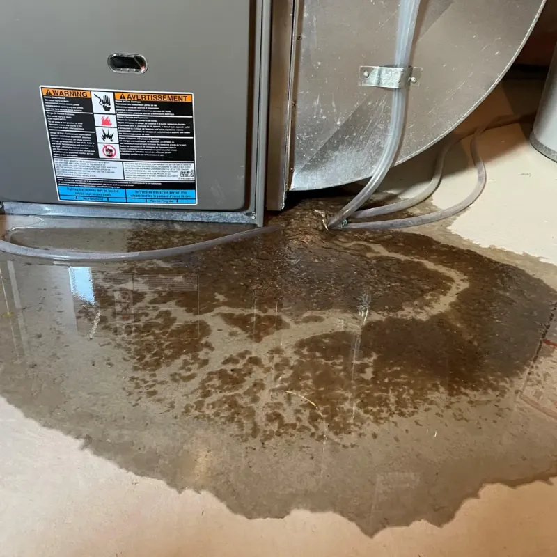 Appliance Leak Cleanup in Rich Hill, MO