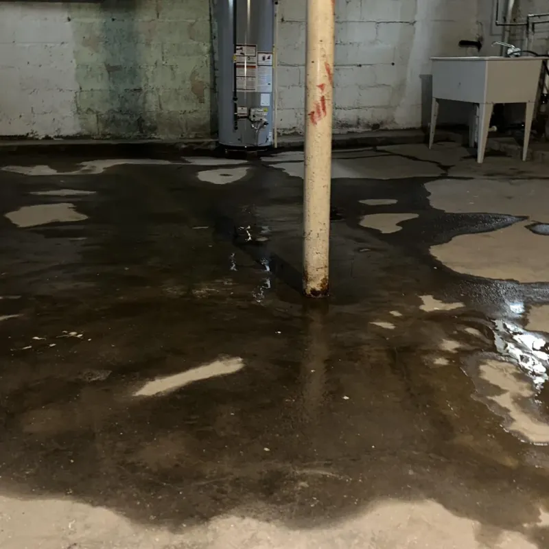Emergency Water Extraction And Removal in Rich Hill, MO